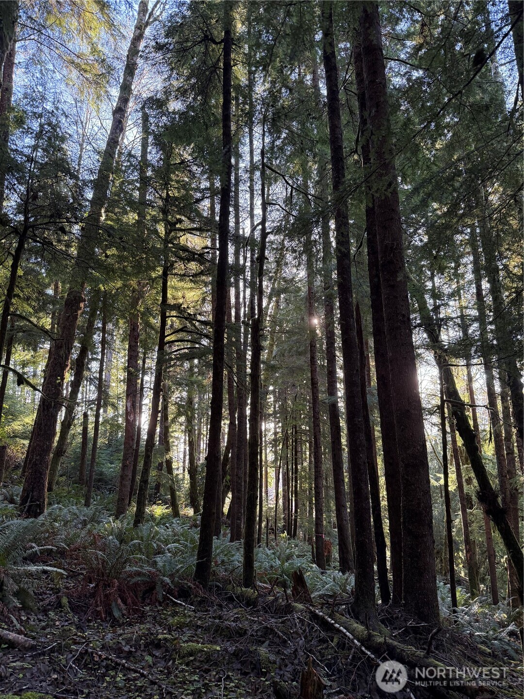 70 Dionne Lane , Naselle, WA 98638