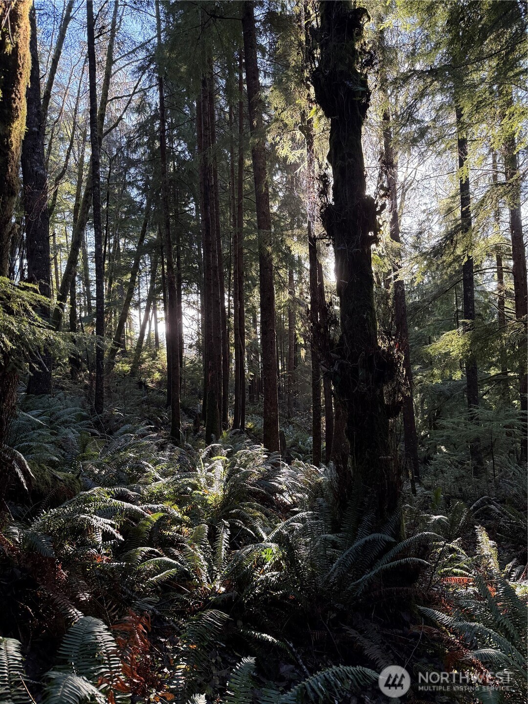 70 Dionne Lane , Naselle, WA 98638