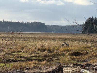 70 Dionne Lane , Naselle, WA 98638 - Photo 19