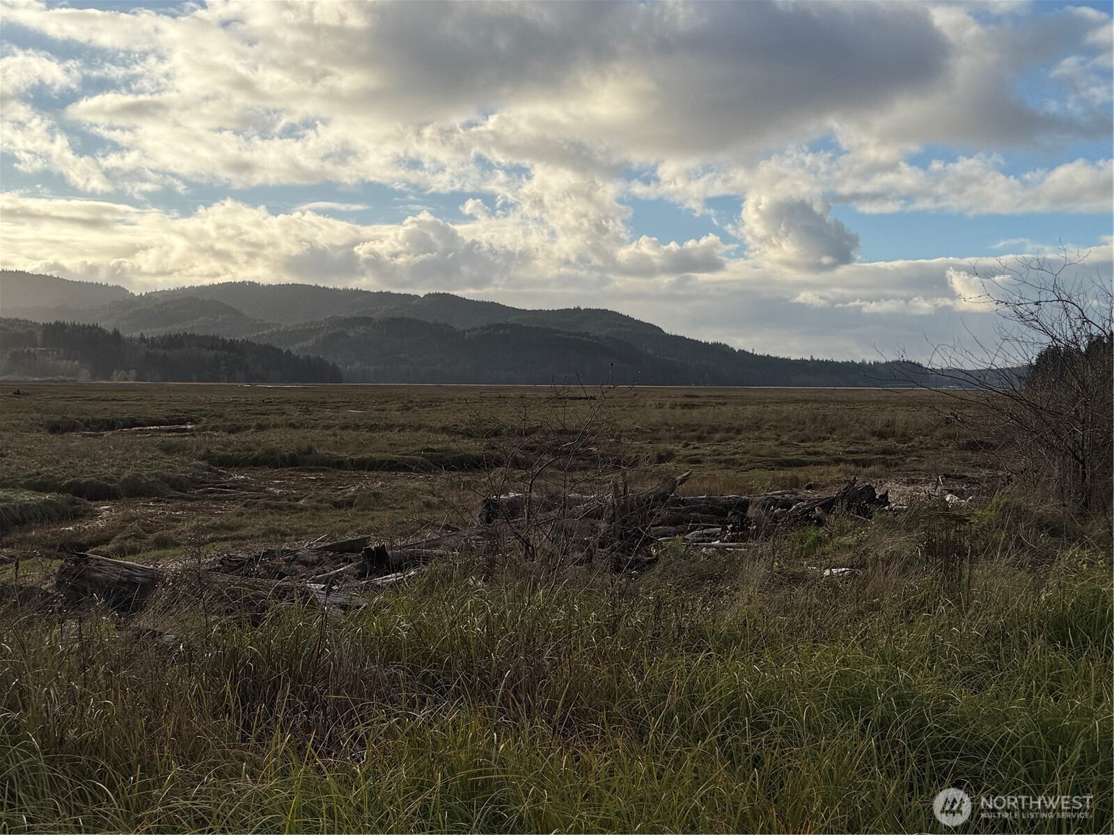 70 Dionne Lane , Naselle, WA 98638