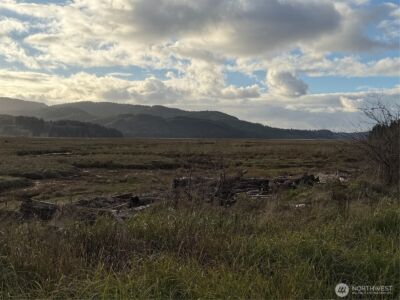 70 Dionne Lane , Naselle, WA 98638 - Photo 20