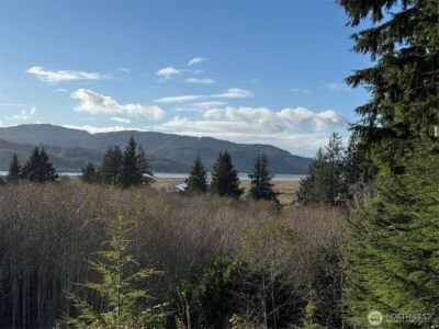 70 Dionne Lane , Naselle, WA 98638 - Photo 2