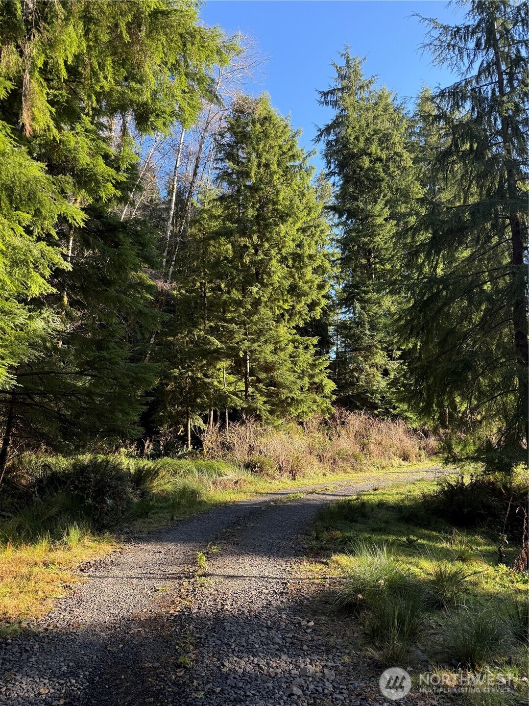 70 Dionne Lane , Naselle, WA 98638