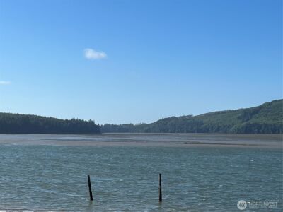 70 Dionne Lane , Naselle, WA 98638 - Photo 22