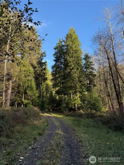 70 Dionne Lane , Naselle, WA 98638 - Photo 6