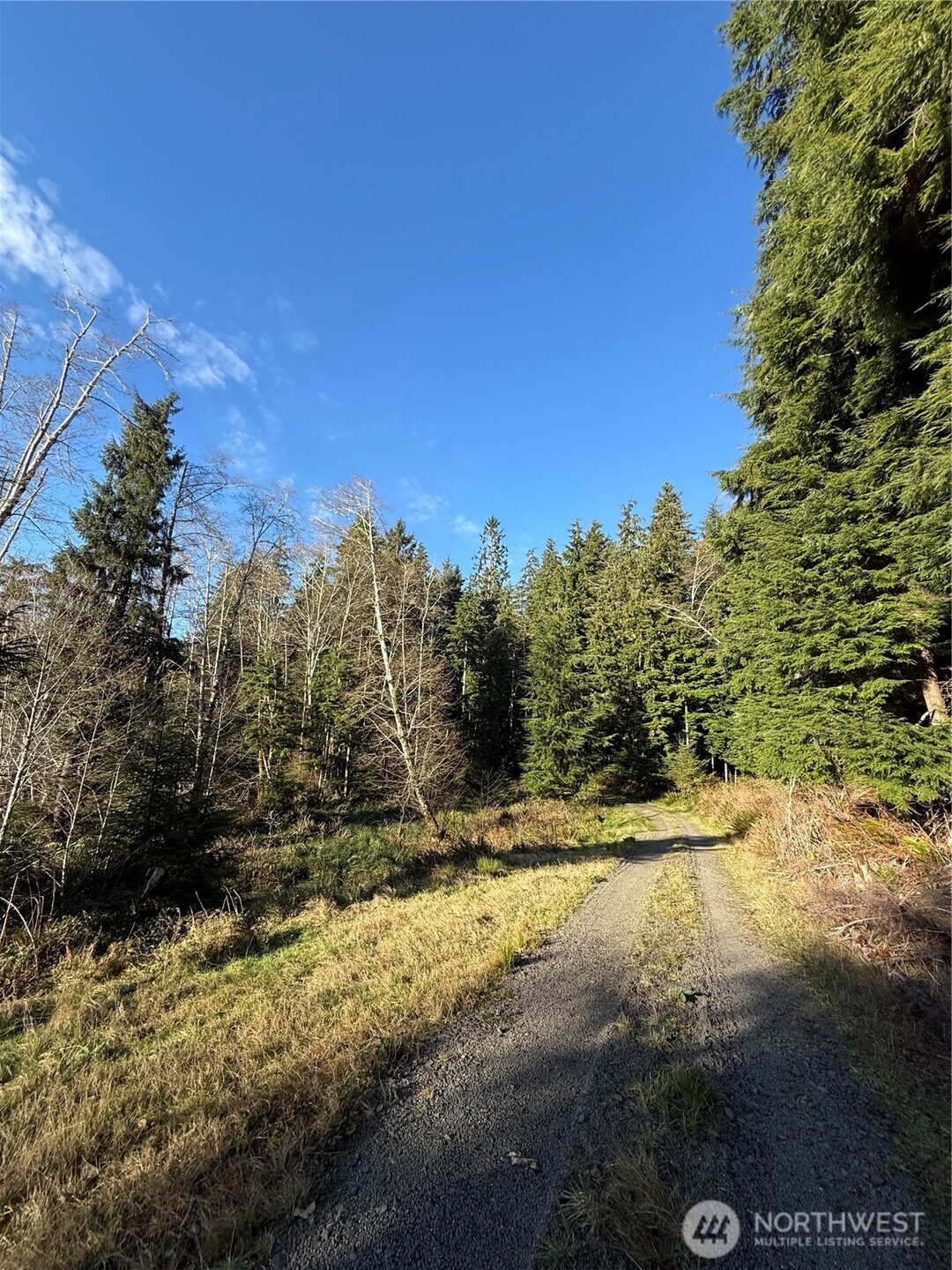 70 Dionne Lane , Naselle, WA 98638