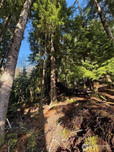 70 Dionne Lane , Naselle, WA 98638 - Photo 8