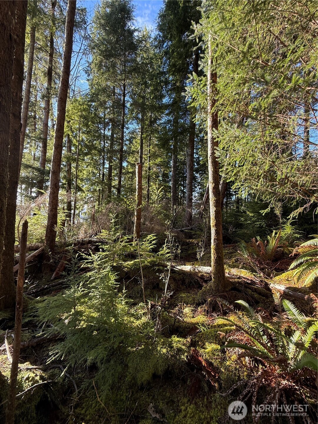 70 Dionne Lane , Naselle, WA 98638