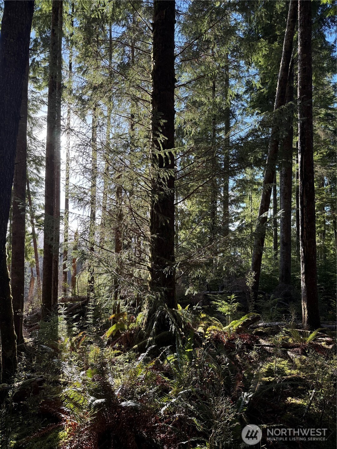 70 Dionne Lane , Naselle, WA 98638