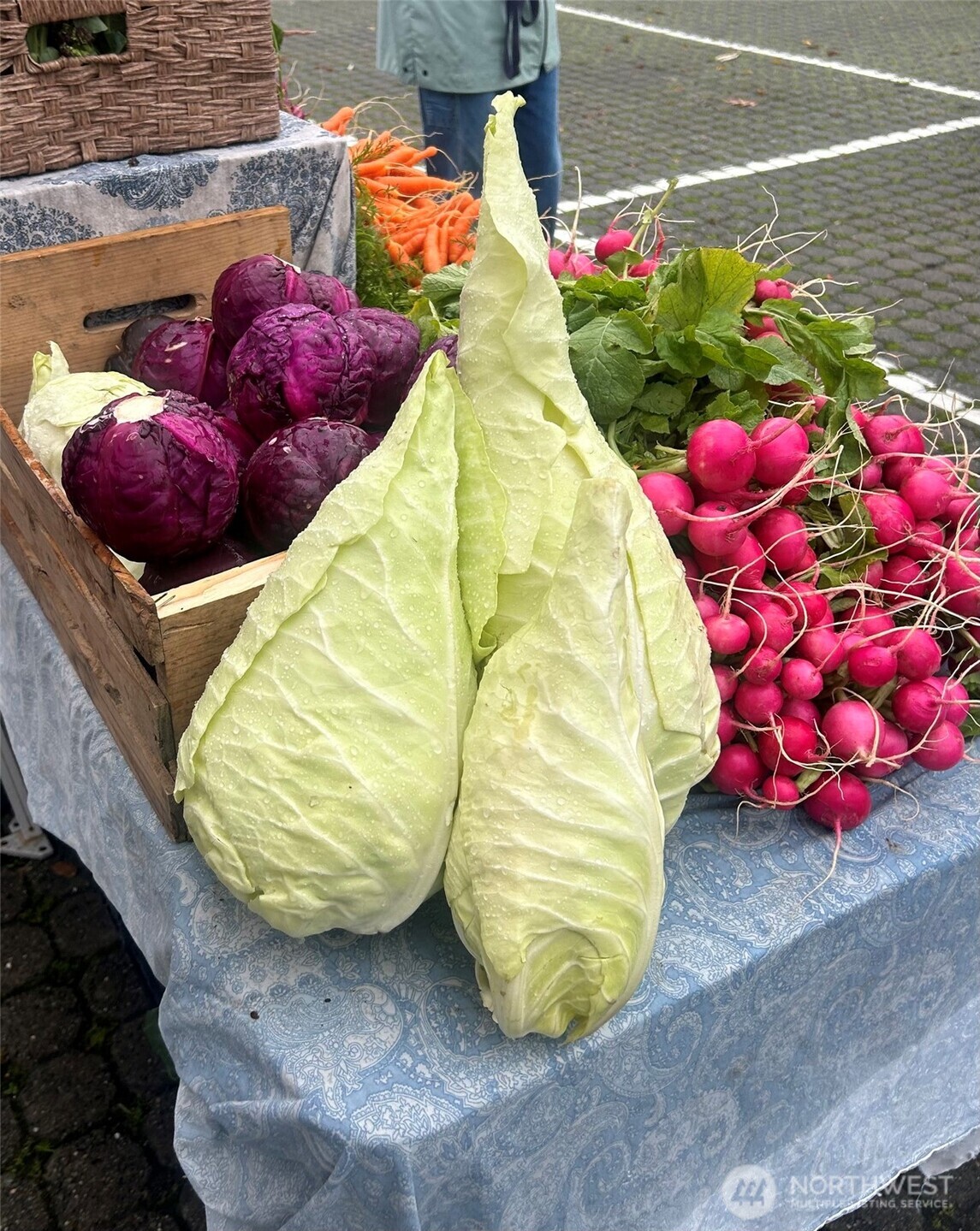 2011 Cornwall Avenue , Bellingham, WA 98225