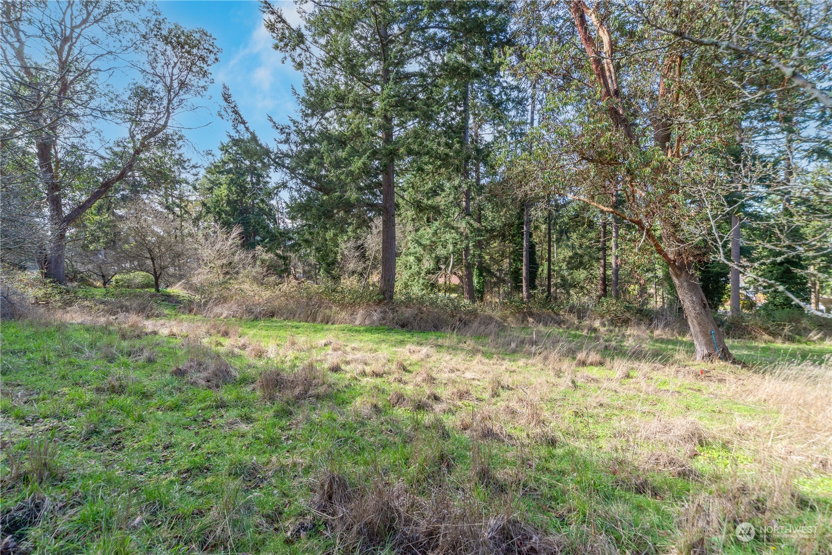 1431 Beech Street , Port Townsend, WA 98368