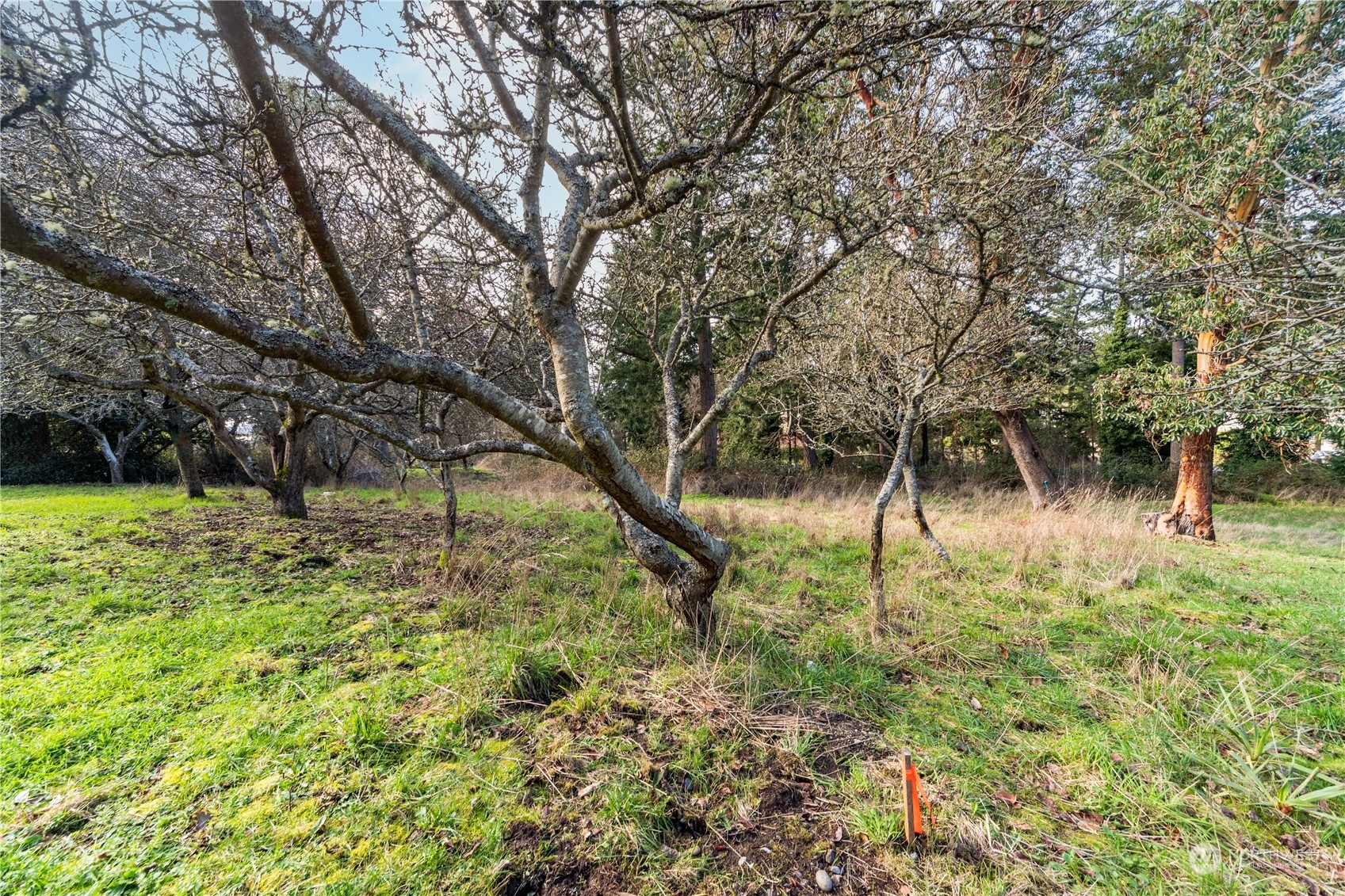 1431 Beech Street , Port Townsend, WA 98368