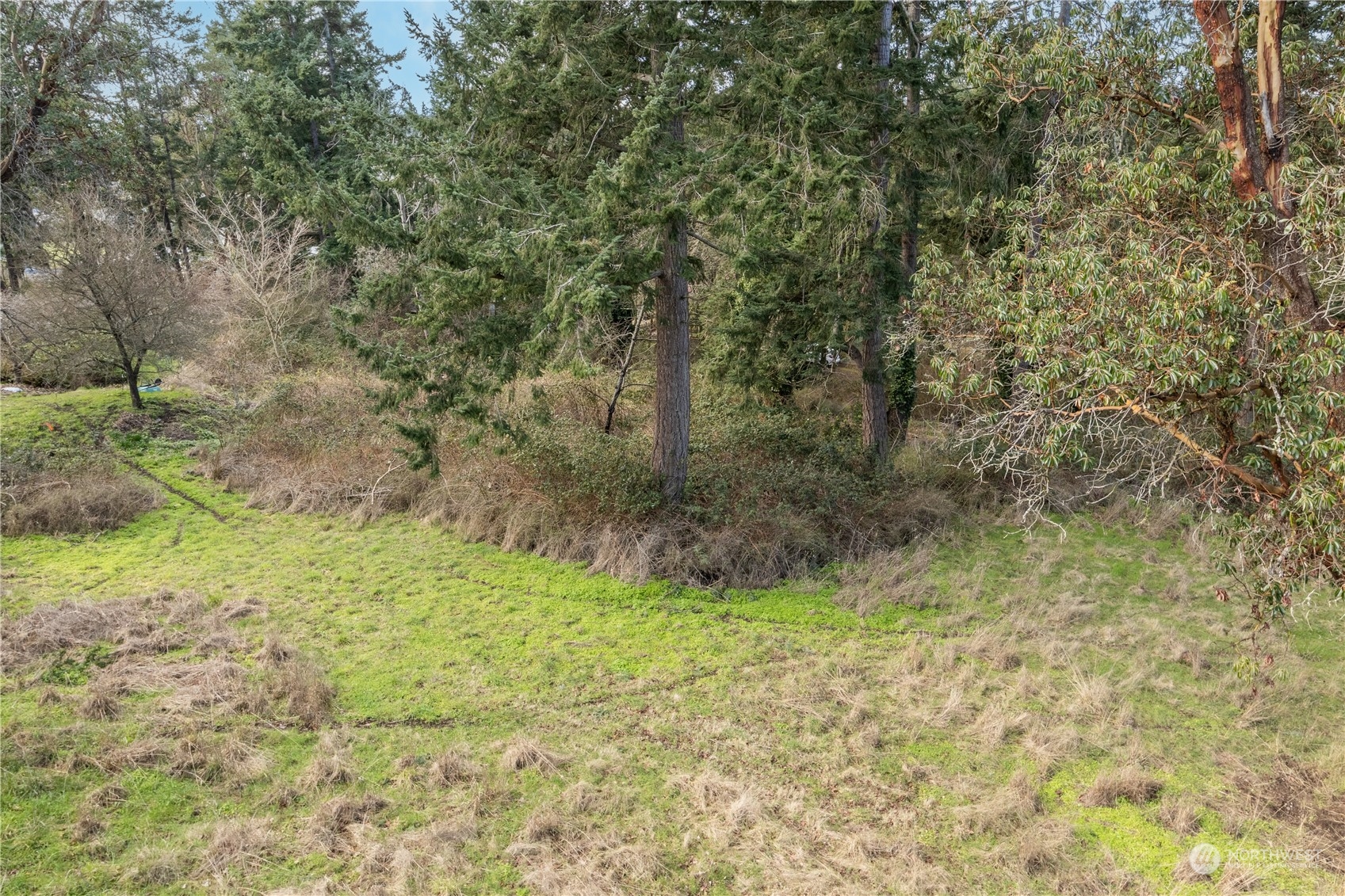 1431 Beech Street , Port Townsend, WA 98368