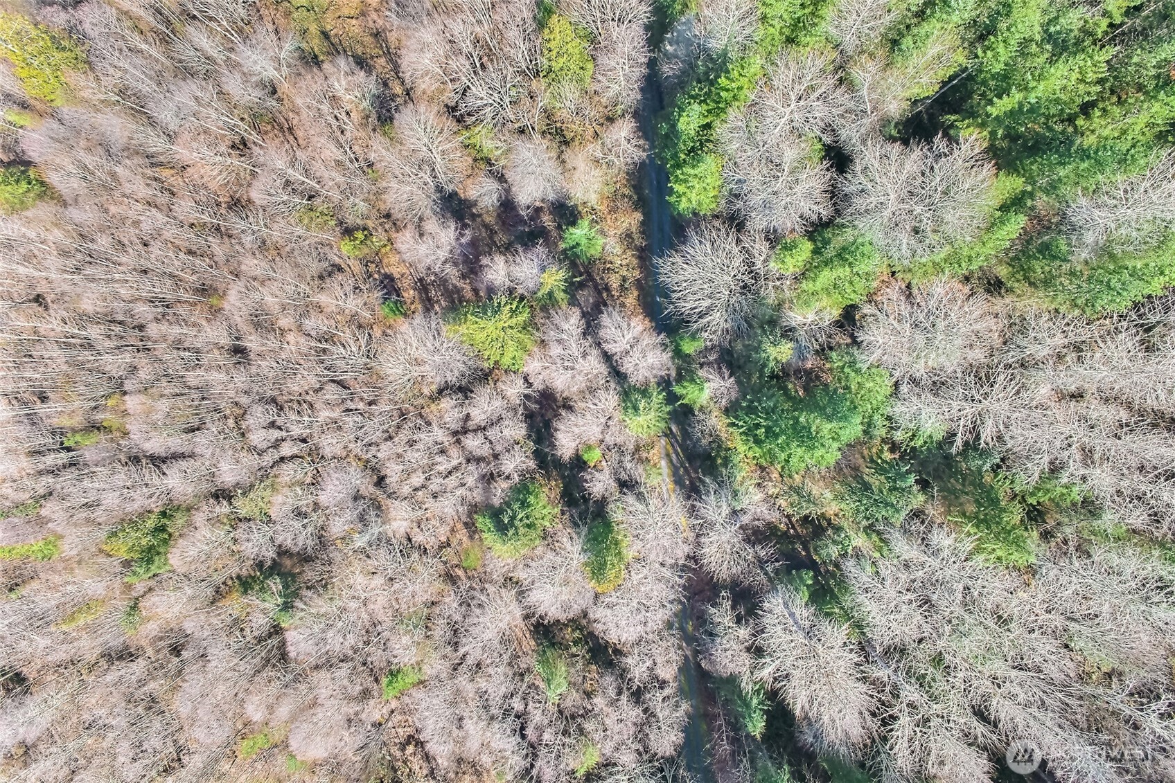 0 X SE 477th Street , Enumclaw, WA 98022