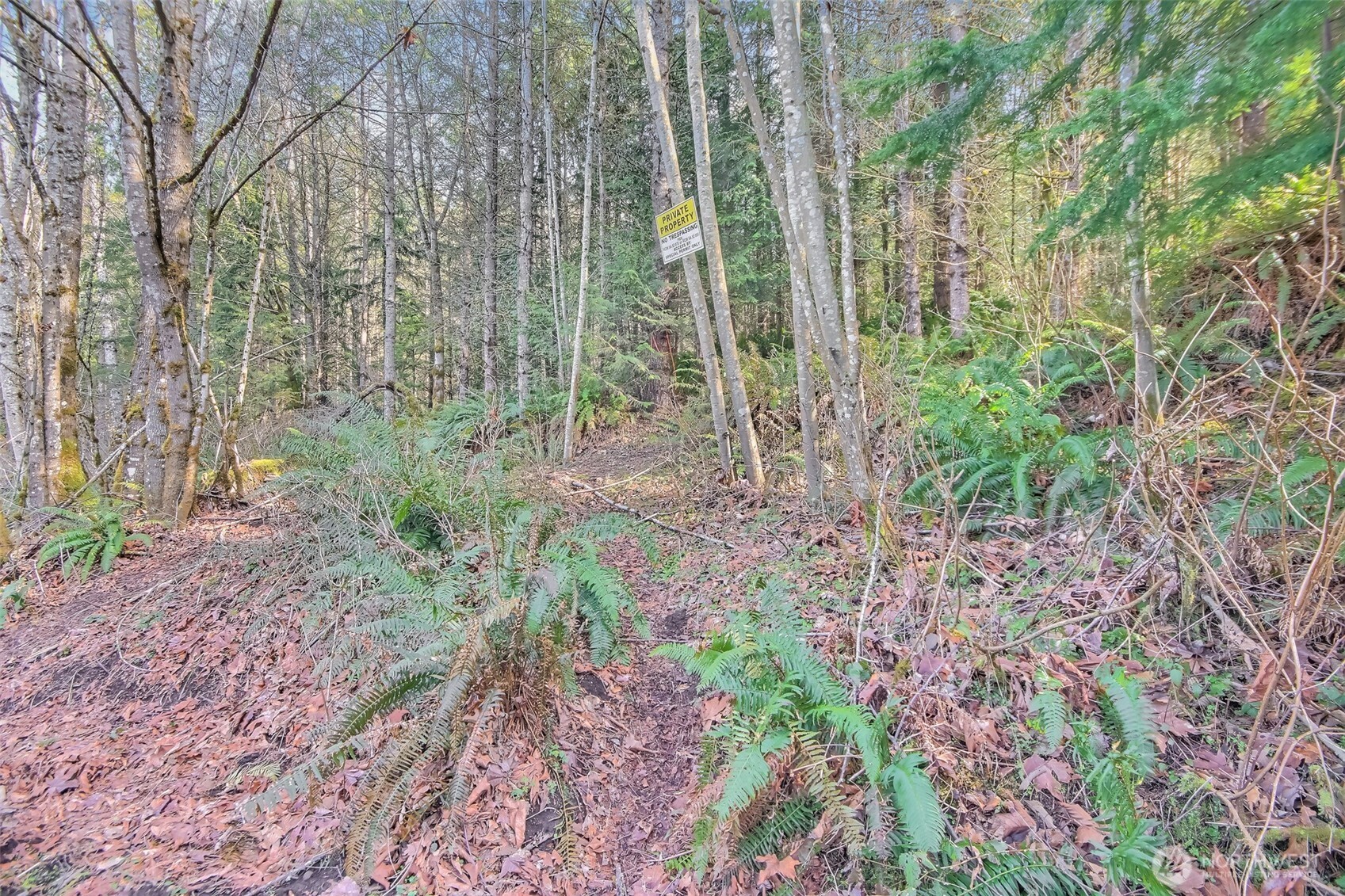 0 X SE 477th Street , Enumclaw, WA 98022