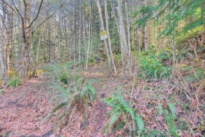 0 X SE 477th Street , Enumclaw, WA 98022 - Photo 15