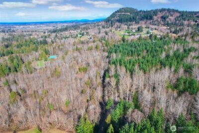 0 X SE 477th Street , Enumclaw, WA 98022 - Photo 3