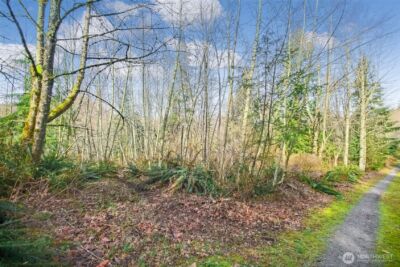 0 X SE 477th Street , Enumclaw, WA 98022 - Photo 5