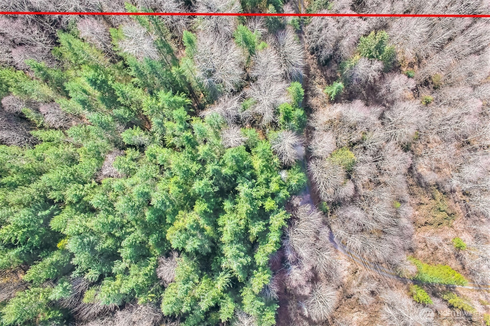 0 X SE 477th Street , Enumclaw, WA 98022