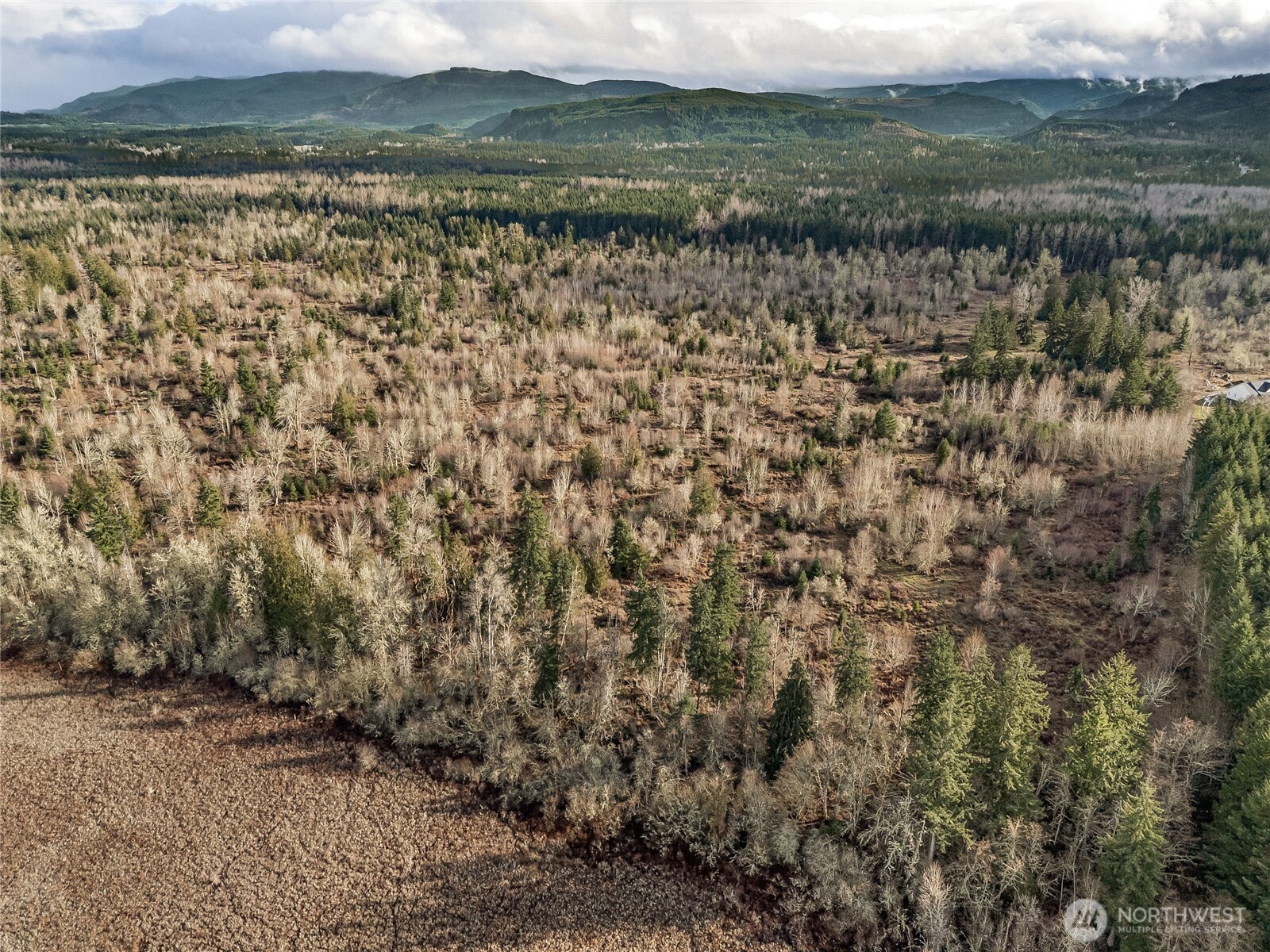 15301 Mcintosh Valley Lane SE, Yelm, WA 98597