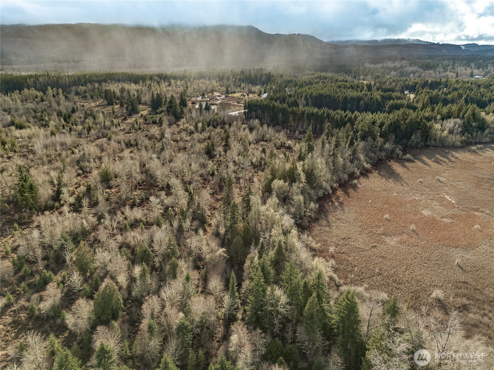 15301 Mcintosh Valley Lane SE, Yelm, WA 98597