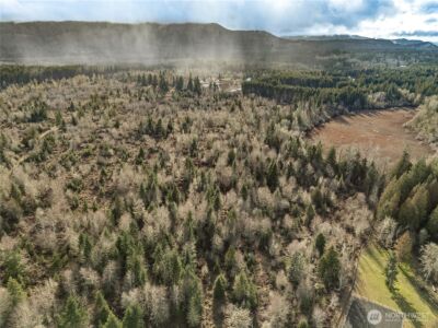 15301 Mcintosh Valley Lane SE, Yelm, WA 98597 - Photo 19