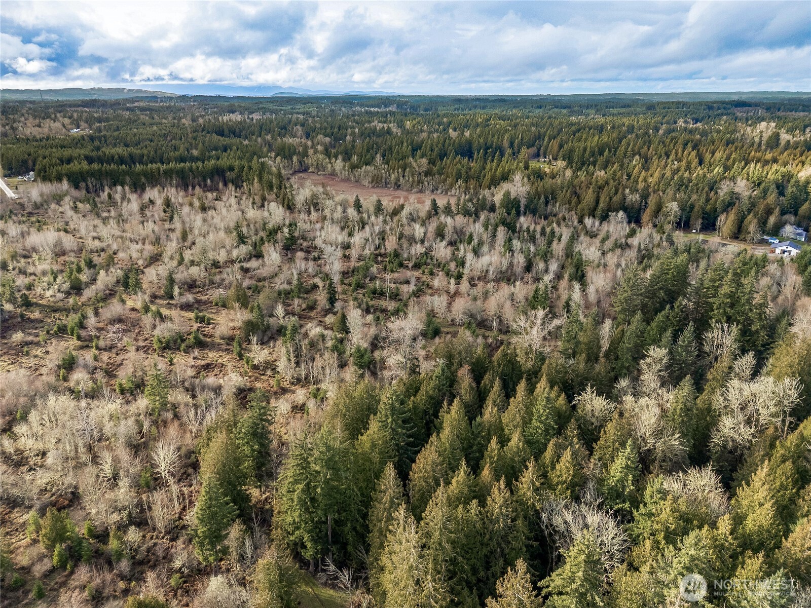 15301 Mcintosh Valley Lane SE, Yelm, WA 98597