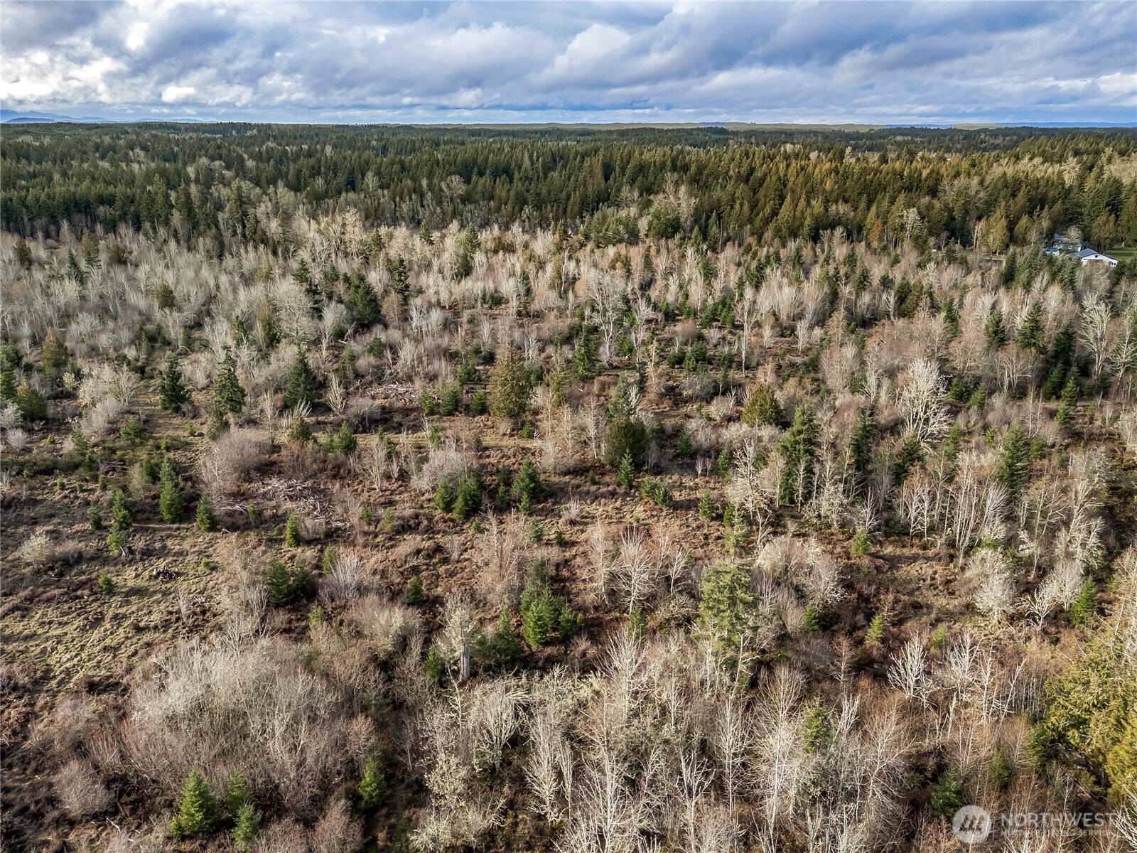 15301 Mcintosh Valley Lane SE, Yelm, WA 98597