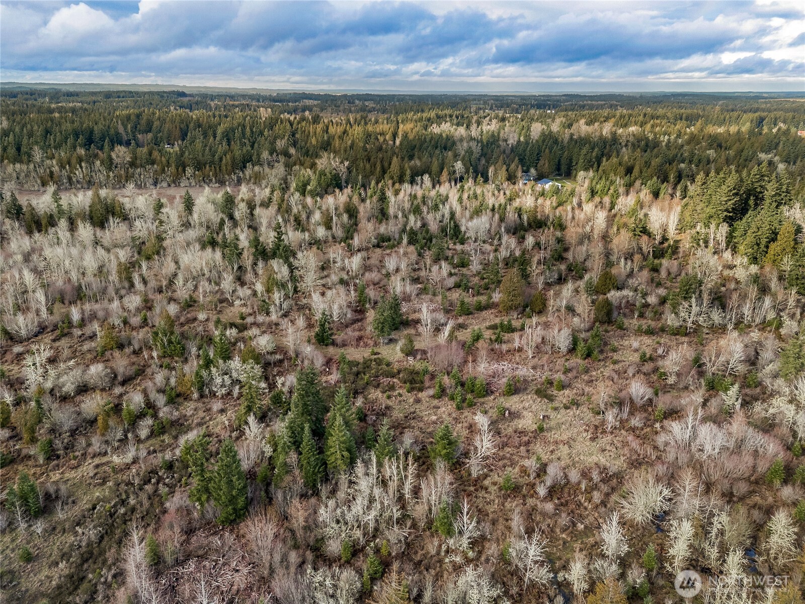 15301 Mcintosh Valley Lane SE, Yelm, WA 98597