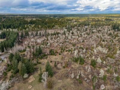 15301 Mcintosh Valley Lane SE, Yelm, WA 98597 - Photo 27