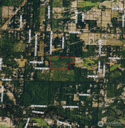 15301 Mcintosh Valley Lane SE, Yelm, WA 98597 - Photo 4