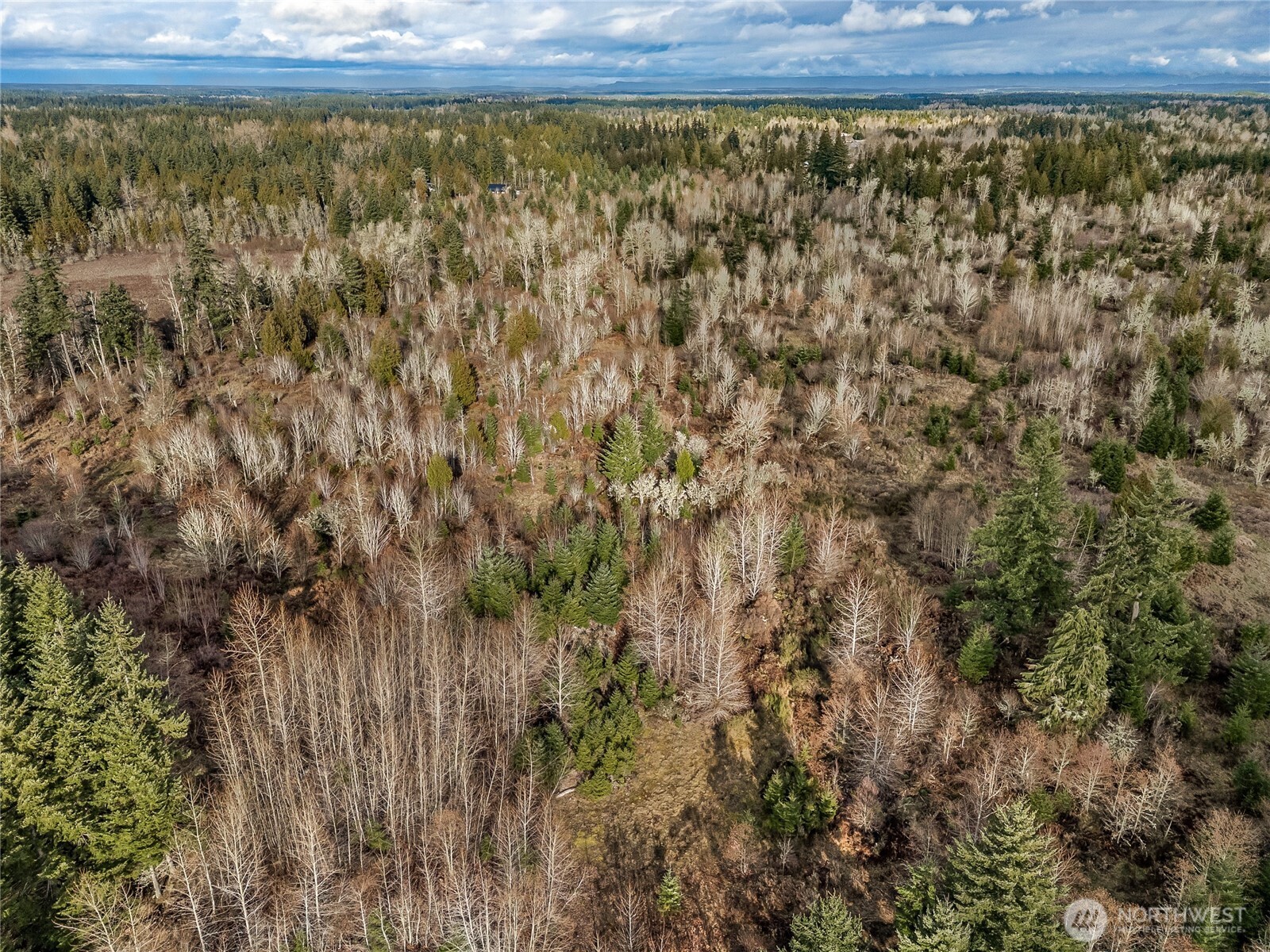 15301 Mcintosh Valley Lane SE, Yelm, WA 98597