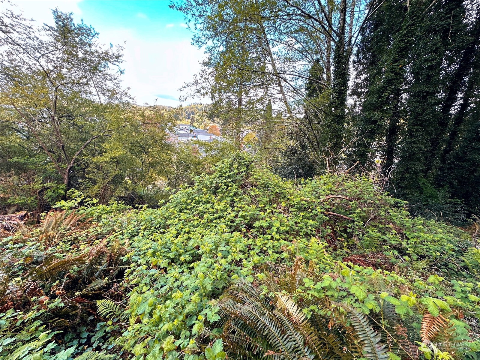 816 Terrace Avenue , Aberdeen, WA 98520