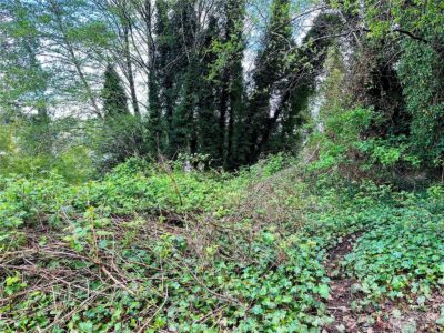 816 Terrace Avenue , Aberdeen, WA 98520 - Photo 6