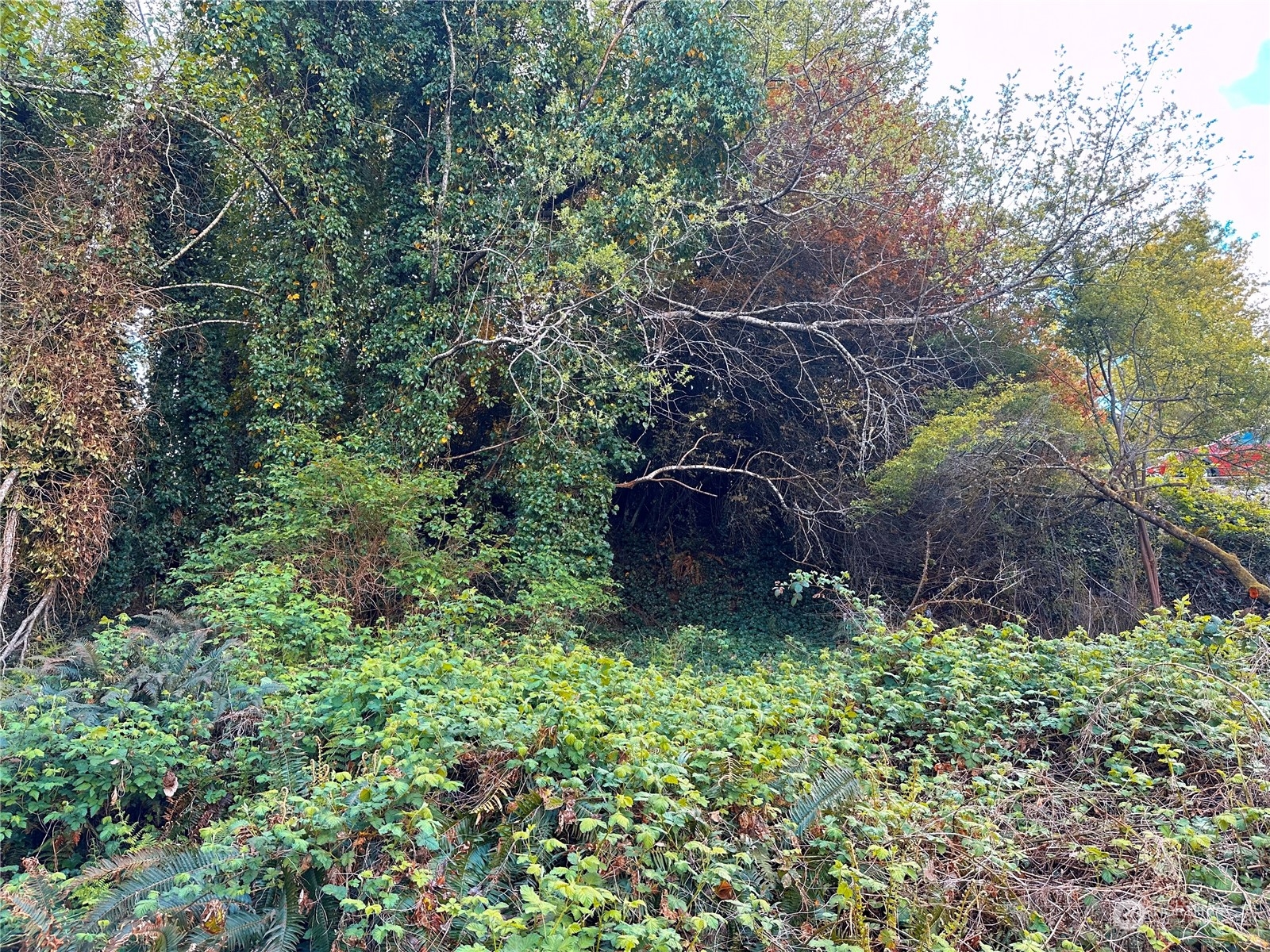 816 Terrace Avenue , Aberdeen, WA 98520