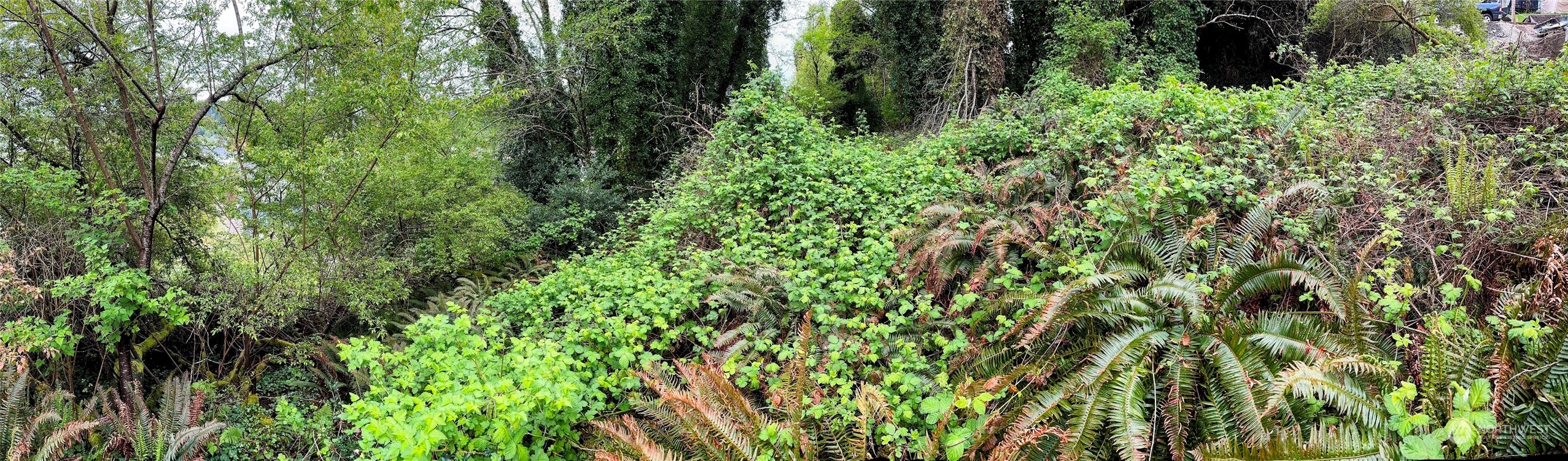 816 Terrace Avenue , Aberdeen, WA 98520