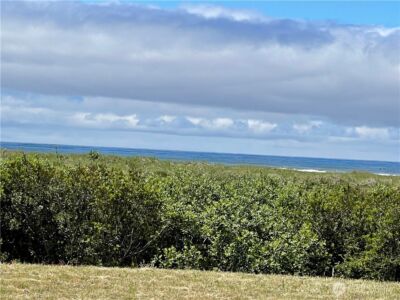 74 Dunes Lane , Ocean City, WA 98569 - Photo 2