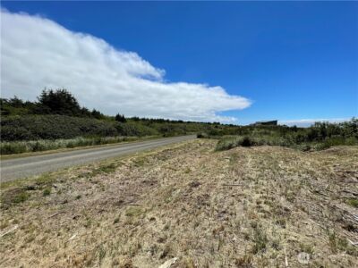 74 Dunes Lane , Ocean City, WA 98569 - Photo 3