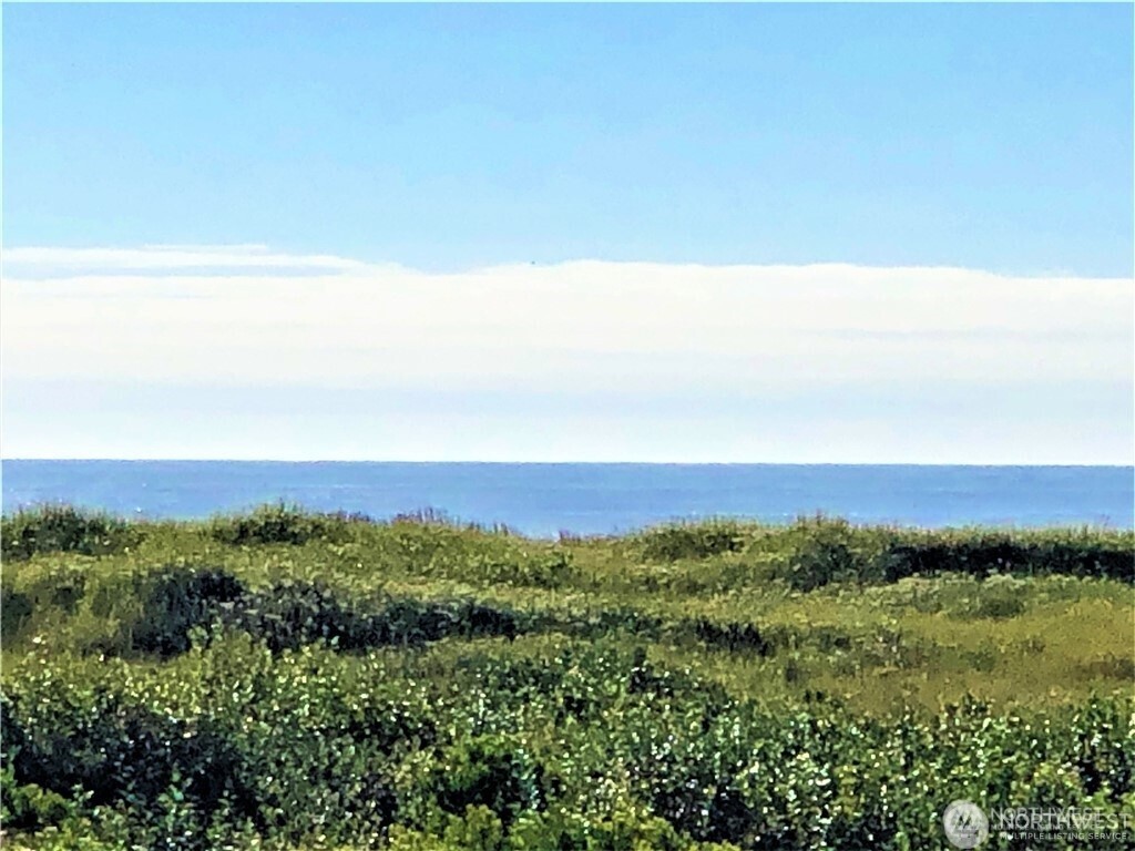 74 Dunes Lane , Ocean City, WA 98569