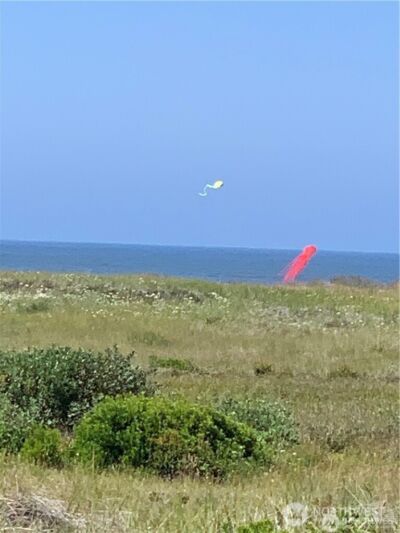 74 Dunes Lane , Ocean City, WA 98569 - Photo 7