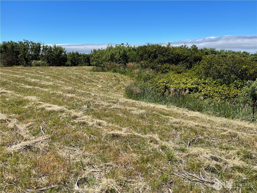 72 Dunes Lane , Ocean City, WA 98569