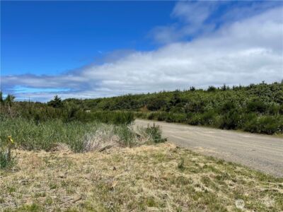 72 Dunes Lane , Ocean City, WA 98569 - Photo 3