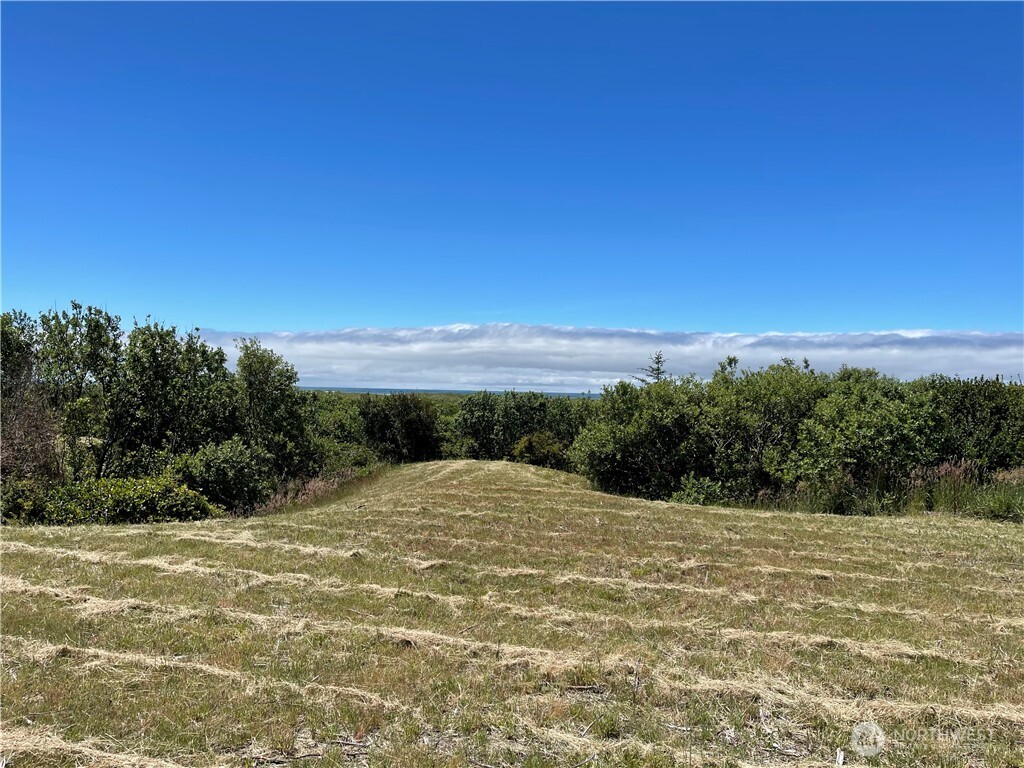 72 Dunes Lane , Ocean City, WA 98569