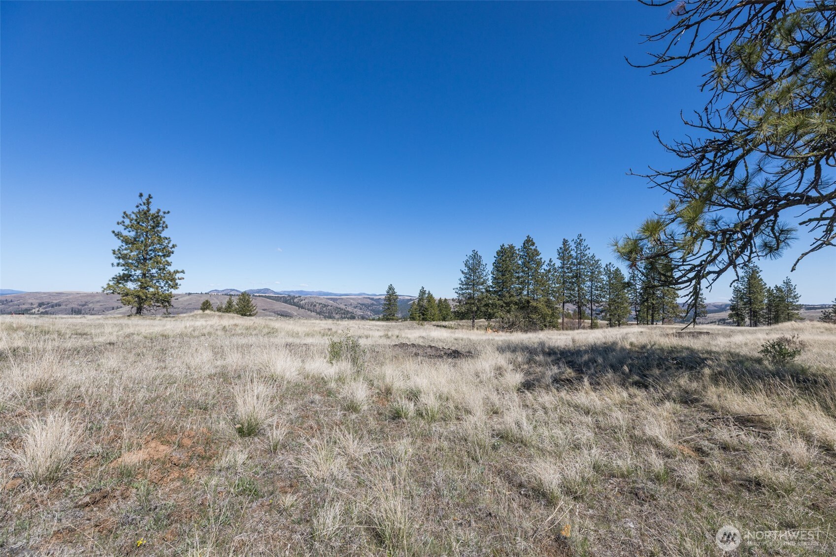 0 XXX Miles Creston Road N, Davenport, WA 99122