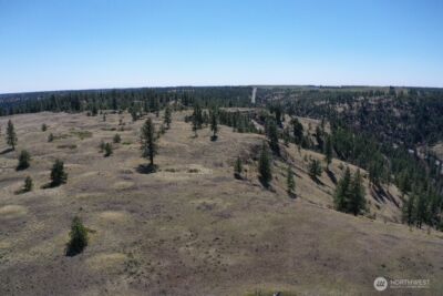 0 XXX Miles Creston Road N, Davenport, WA 99122 - Photo 2