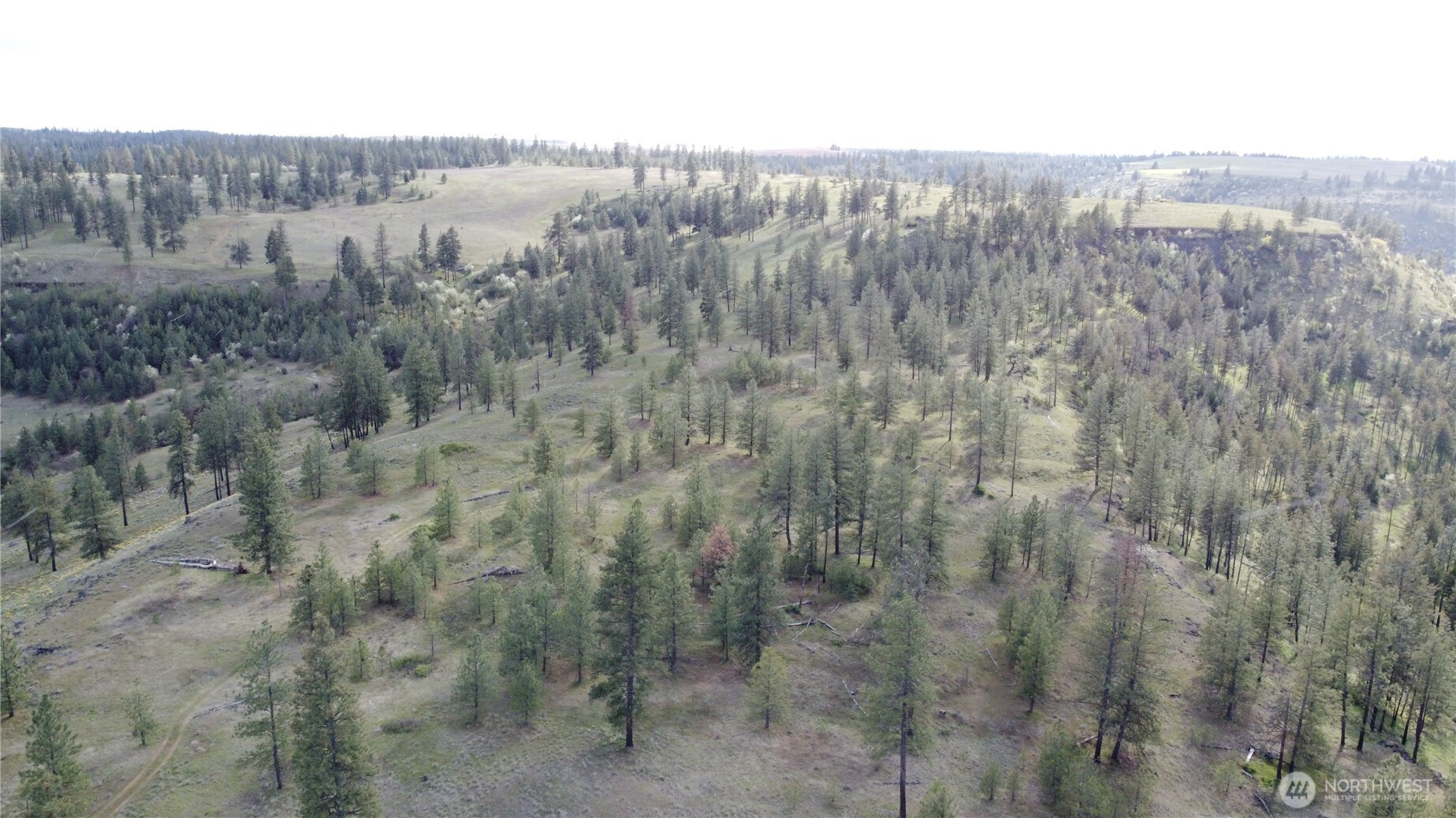 0 XXX Miles Creston Road N, Davenport, WA 99122