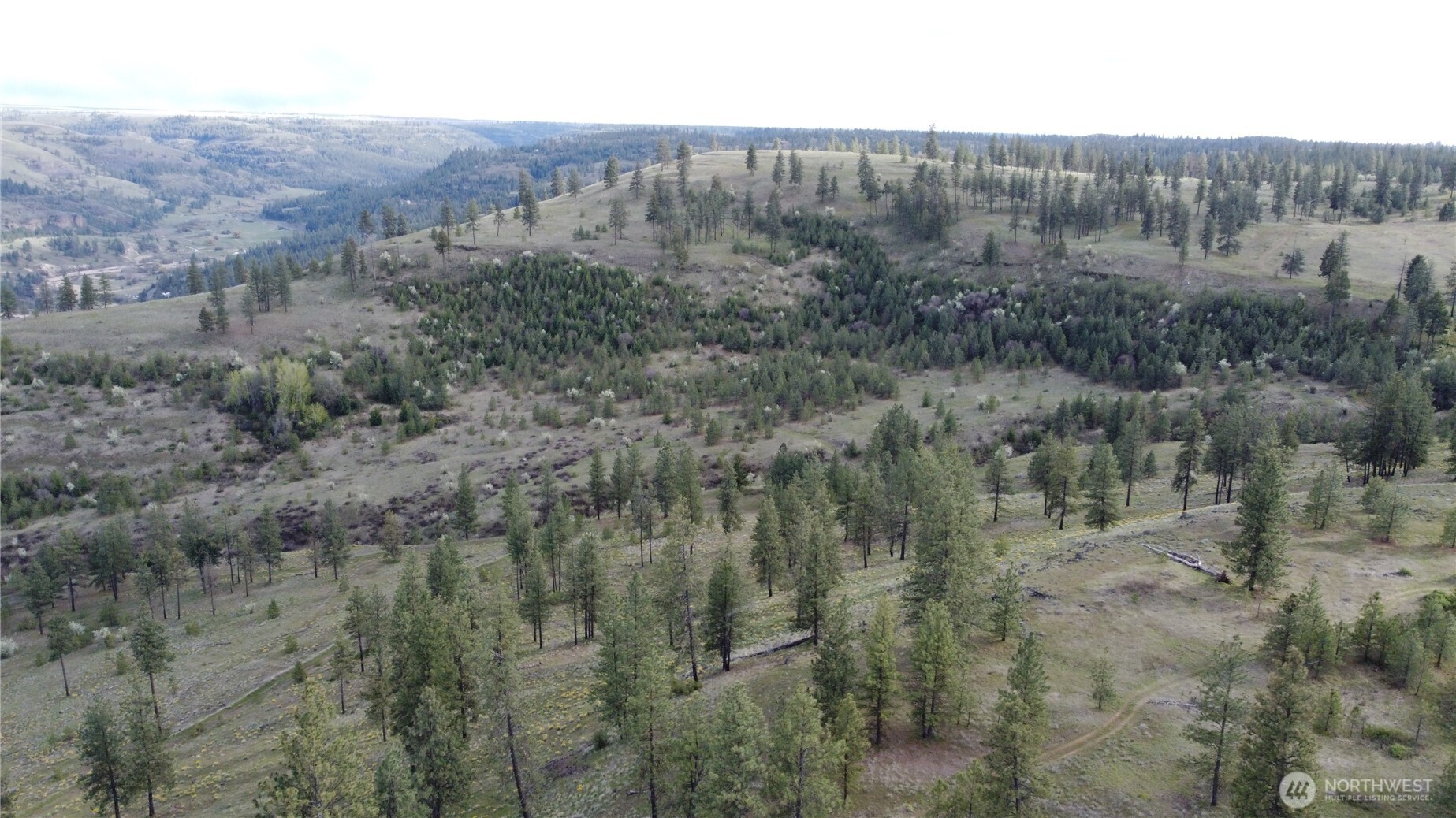 0 XXX Miles Creston Road N, Davenport, WA 99122