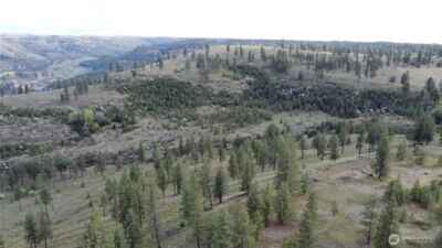 0 XXX Miles Creston Road N, Davenport, WA 99122 - Photo 7