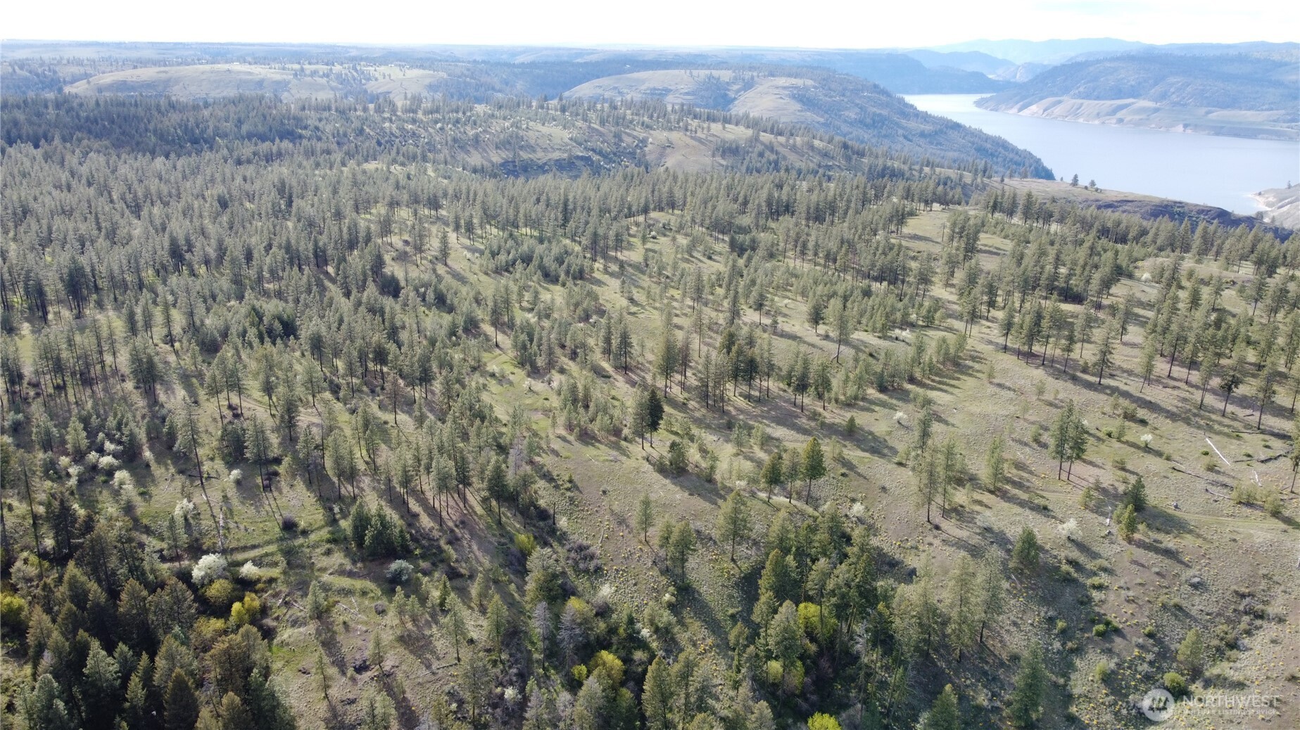 0 XXX Miles Creston Road N, Davenport, WA 99122