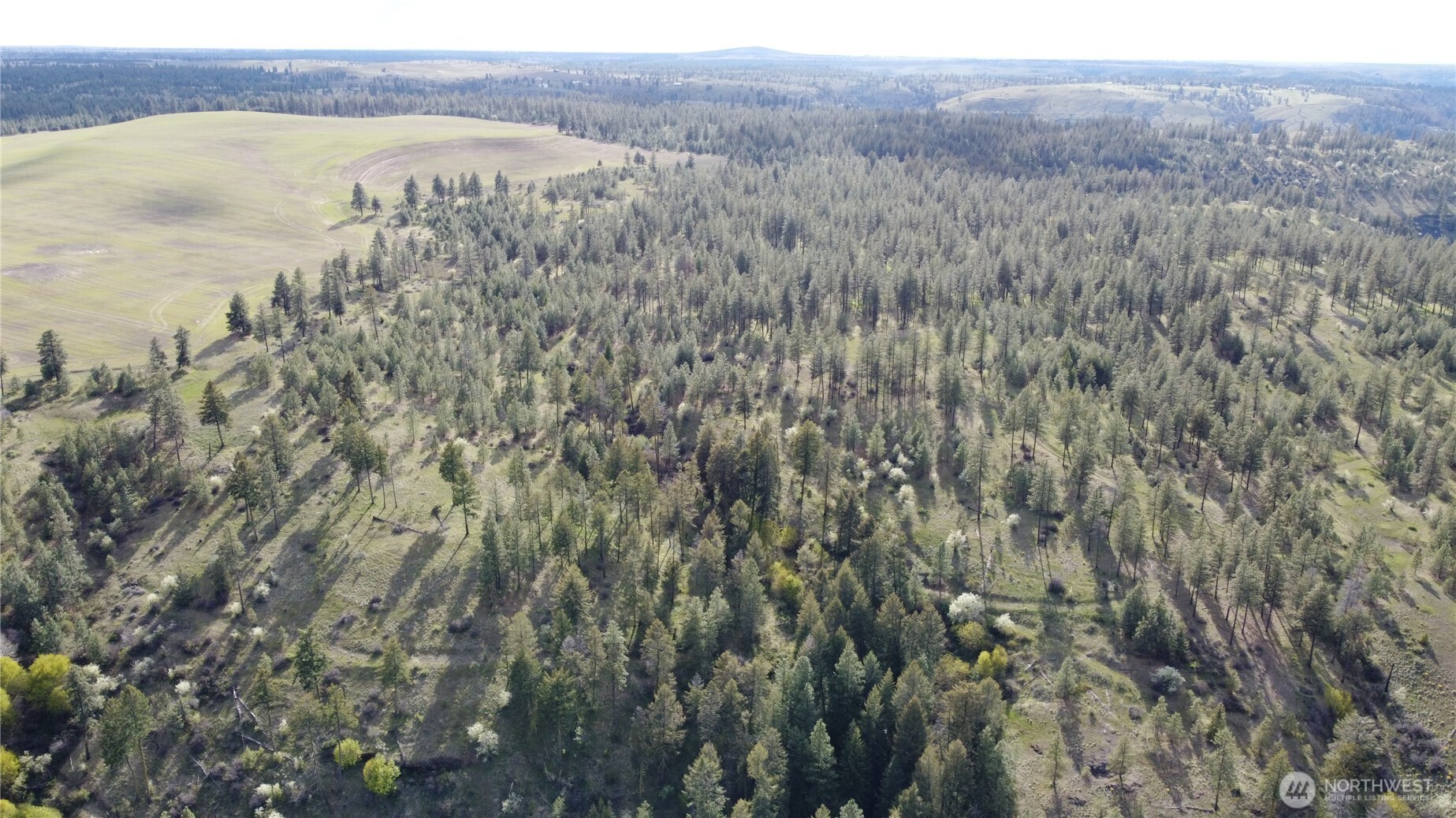 0 XXX Miles Creston Road N, Davenport, WA 99122